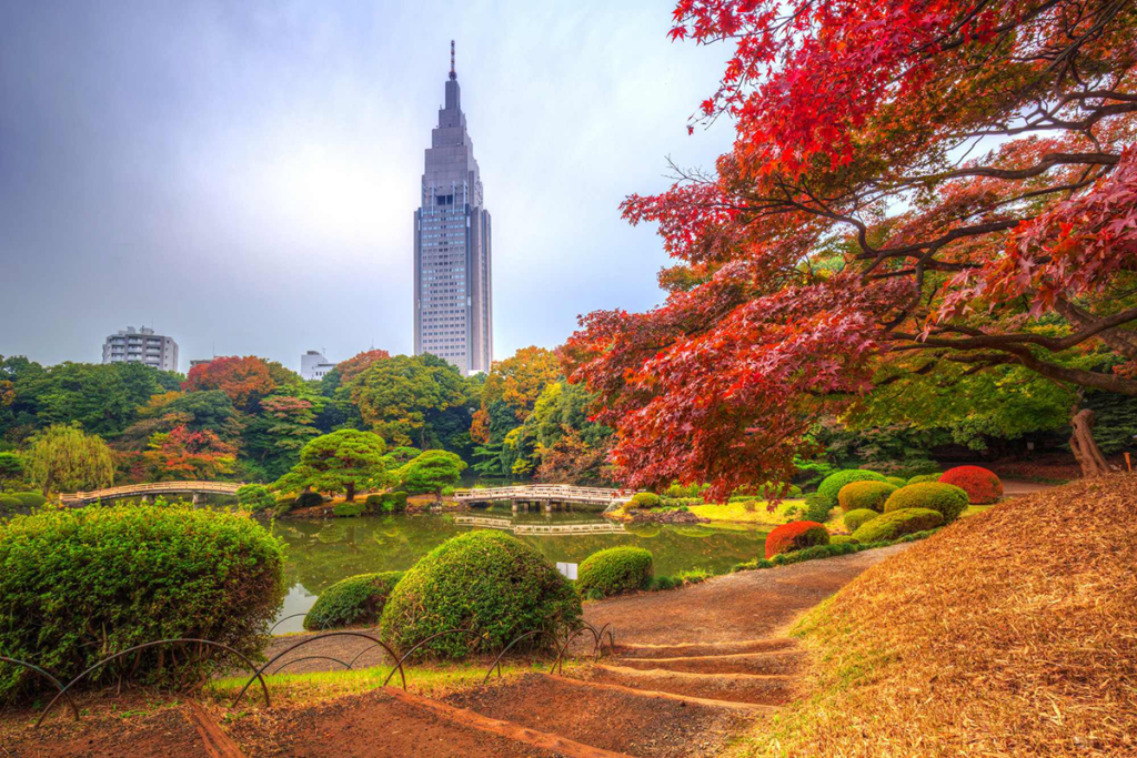 Khu Vườn Shinjuku Gyoen